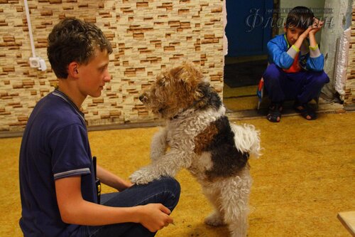 Берег весёлых Робинзонов 2017